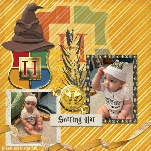 Sorting Hat Ceremony