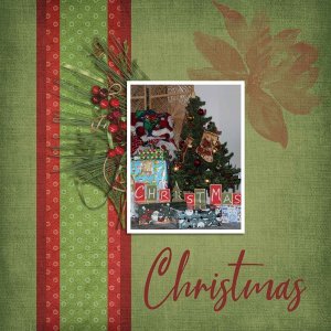 GS Brush Challenge December 2021