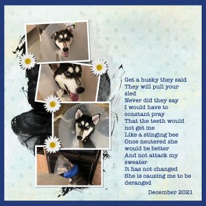 2021-12-23 Get a Husky They said