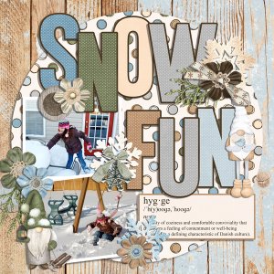 snow fun