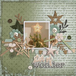 star of wonder