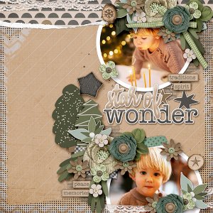 Start of Wonder
