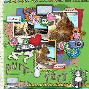 Purr-fect