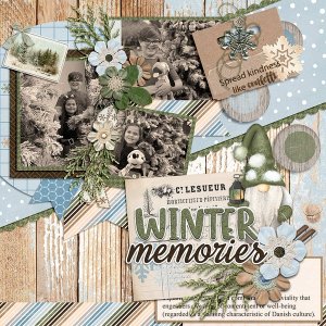 Winter Memories