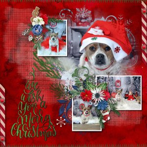 Merry Christmas