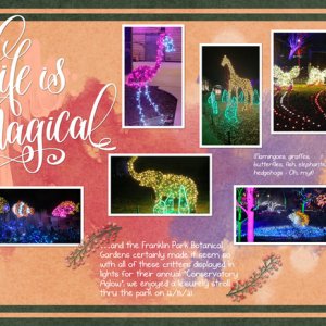 Life is Magical