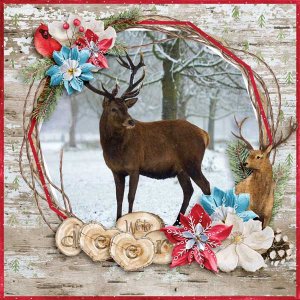 Woodland Kristmess