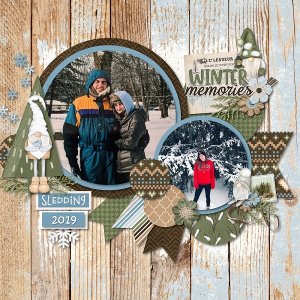Winter Memories