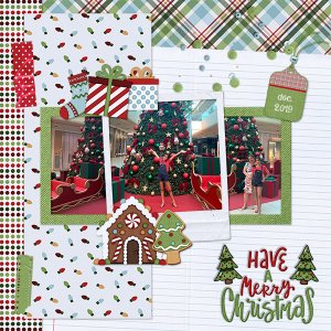 Have a Merry Christmas