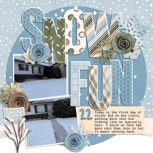 Snow Fun