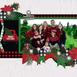 Christmas Family Photo