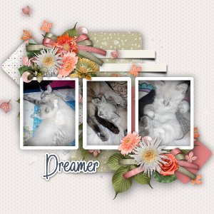 Dreamer