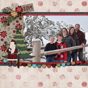 Family Pictures 2019