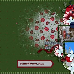 Fuerta Ventura Pajara 2021-12-19