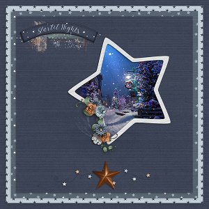Starlit Night