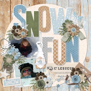 Snow fun