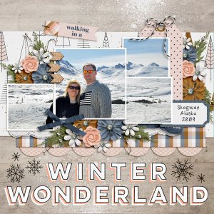 winter wonderland