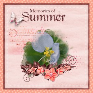 12-daily-download2