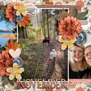 November 2022