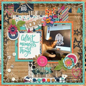 Collect Moments