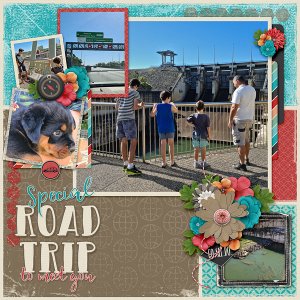 Special Road Trip to meet you