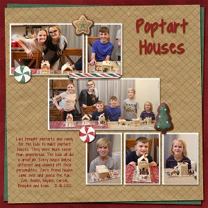 Poptart Houses