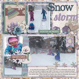 Snow Storm