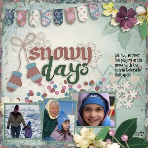 Snowy Days