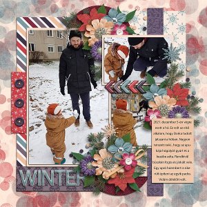 Shades of winter