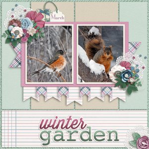 Winter-Animals