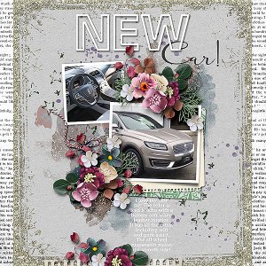 New Car