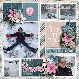 snofun2020
