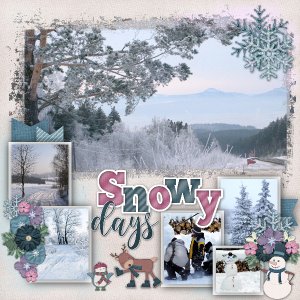 Snowy days