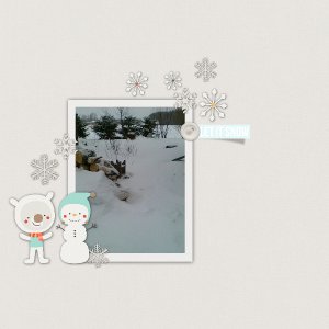 Snow47