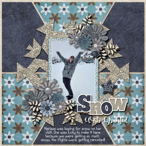 Snow Wish
