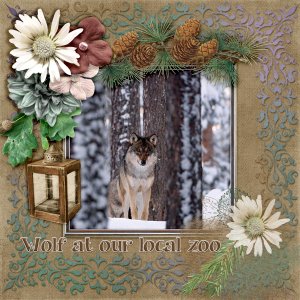 600-adbdesigns-woodland-walk-pia-01