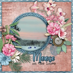 600-adbdesigns-woodland-walk-pia-02