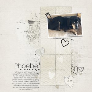 Phoebe