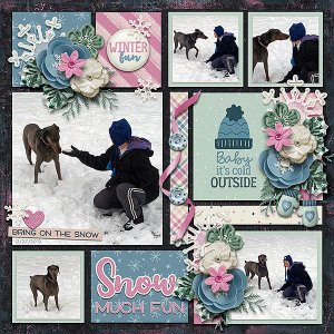 snow much fun