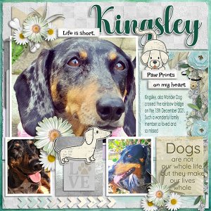 Kingsley
