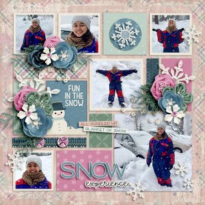 Snow Experience