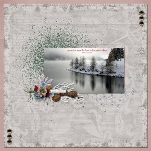Winter's Blush