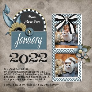 Scylla January 2022