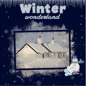 Winter wonderland