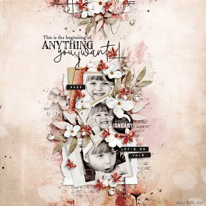 anything you want