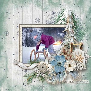 Winter Wonderland
