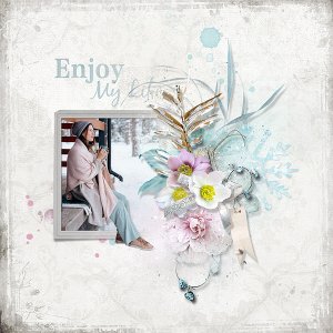 enjoy my life