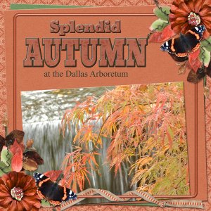 Splendid AUTUMN at the Dallas Arboretum