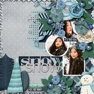 Snow Snow