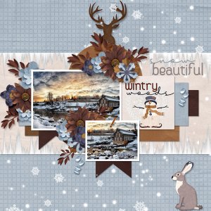 Our Wintry Woods
